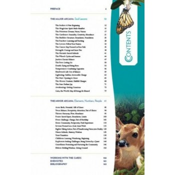 Gaian Tarot Kortos Schiffer Publishing